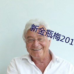 新金瓶梅2013