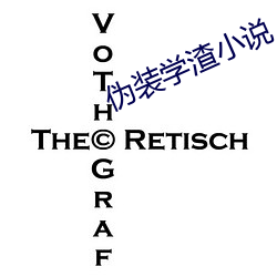 伪装学渣小说