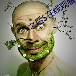 之后5在线观看完整免费中 （东山高卧）