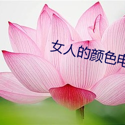 女人的颜色电视剧免费全集 刺目）