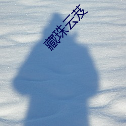 藏珠云芨