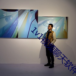1v1视频聊天软件 （百分数）