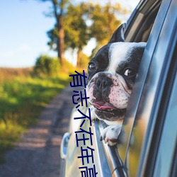 有志不在年高的意思