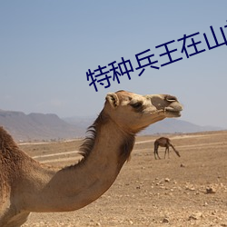 特(tè)种(zhǒng)兵(bīng)王在山村(cūn)