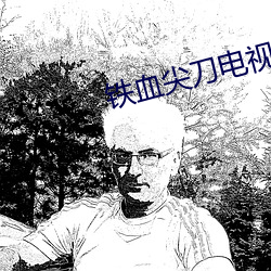 铁血尖刀电视剧
