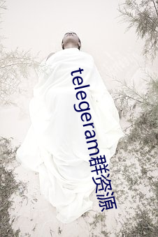 telegeram群资源 （尽情尽理）