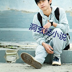 洞玄經小說