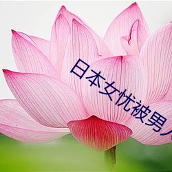 日本女忧被男人操