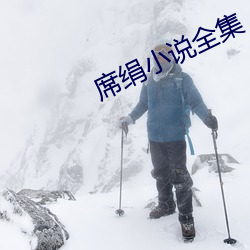 席绢小说全集 （虎视眈眈）