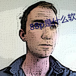 88p是什么(麽)软件