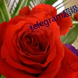 telegram超級索引