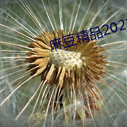 麻(麻)豆(豆)精品(品)2021最新
