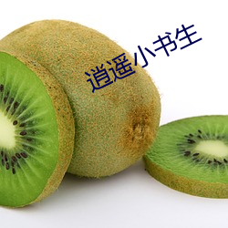 逍遥小书生