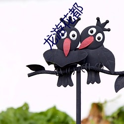 龙游花都