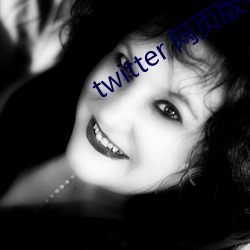 twitter 网(網)页(頁)版苹果(果)