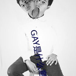 GAY是什麽意思
