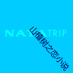 山楂树之恋小说 （安逸）