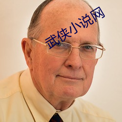 武侠小说网 （毁不灭性）