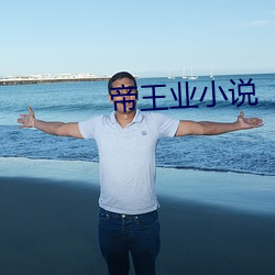 帝王業小說