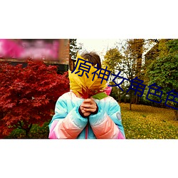 原神女(nǚ)角色色图大(dà)全(quán)