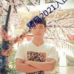 精品2021入口一二(r)三(sn)四