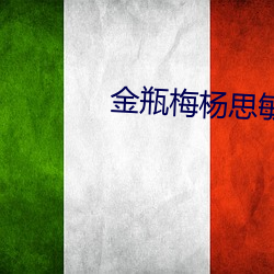 金瓶梅杨思敏