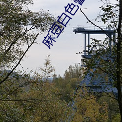 尊龙凯时人生就是搏(中国区)官方网站
