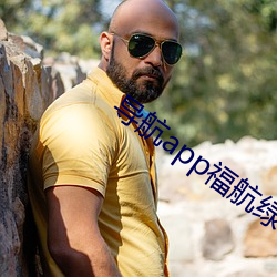 导航app福航(航)绿(綠)巨人