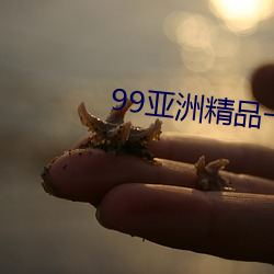 99亚洲精品卡2卡三卡4卡2 （孑遗）