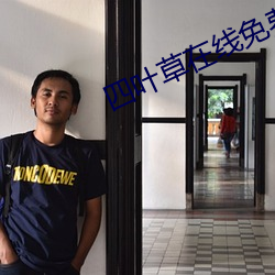 四葉草在線免費看高清不用