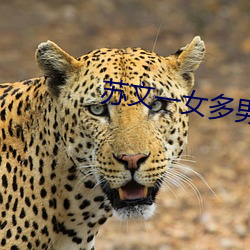 苏文一女(女)多男