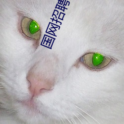 國網招聘平台