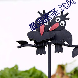 最強醫聖 沈風
