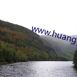 www.huangsewangzhan