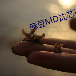 麻豆MD沈芯語夢境