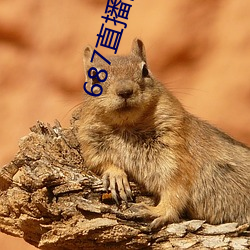687直播间 （官办）