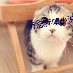 乔念乔嗔小说叫什么