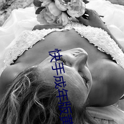 快手(shǒu)成年版黄