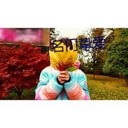 名门挚爱