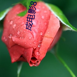 vwinӮ(й) - ٷվ