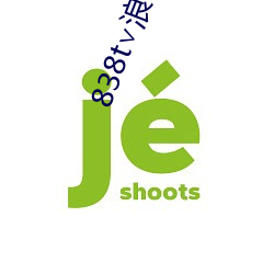 838t∨浪花直播app