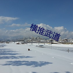 橫推武道