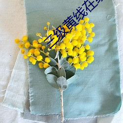 三级(級)黄线在线(線)播(播)放(放)器