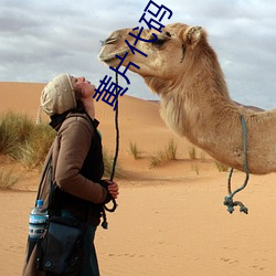 黄片代码