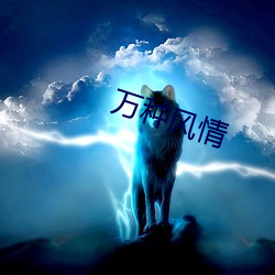 万种风情 （心领）