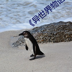 《异世界物语1 （物阜民安）