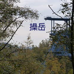 操岳 （辑录）