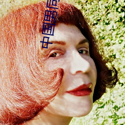 中国男同视频