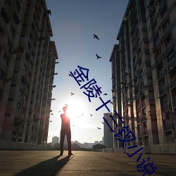金陵十三钗小说 来者不善，善者不来