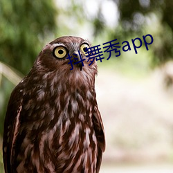 抖舞秀app